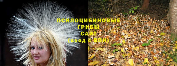 прущий лед Алексин