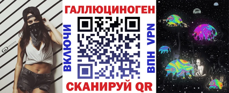 Псилоцибиновые грибы Psilocybe  Питкяранта 